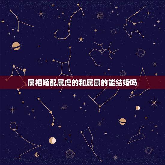 属相婚配属虎的和属鼠的能结婚吗,属老鼠的和属虎的结婚好吗 属相婚配属虎的和属鼠的能结婚吗,属老鼠的和属虎的结婚好吗