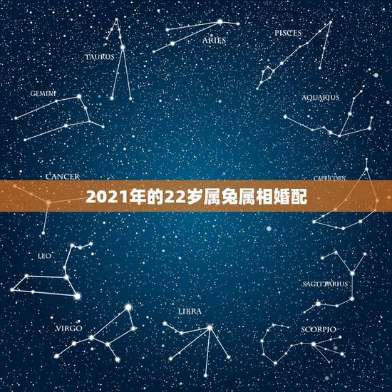 2021年的22岁属兔属相婚配,属兔2021年岁表 2021年的22岁属兔属相婚配,属兔2021年岁表