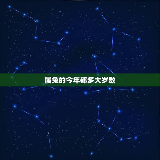 属兔的今年都多大岁数，属牛的今年多大