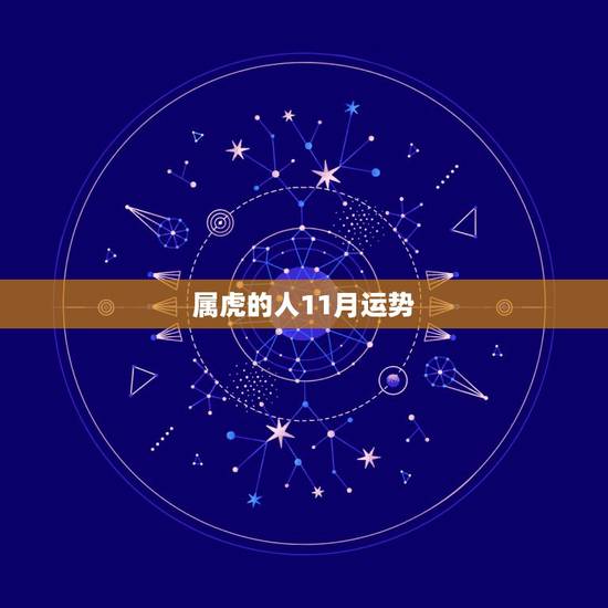 属虎的人11月运势，属虎人11月份运势