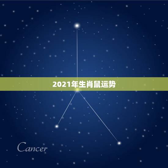 2021年生肖鼠运势，属鼠2021年运势及运程每月运程