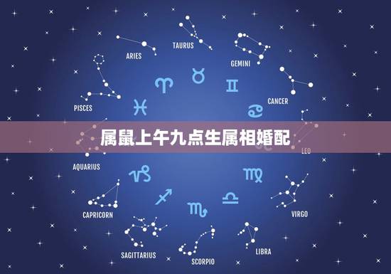 属鼠上午九点生属相婚配，属鼠的属相婚配表 属鼠和什么生肖最配