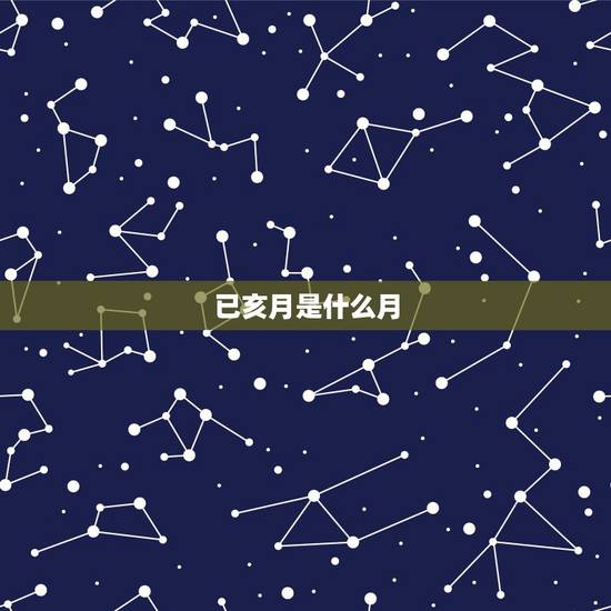 已亥月是什么月,己亥年是什么意思 已亥月是什么月,己亥年是什么意思