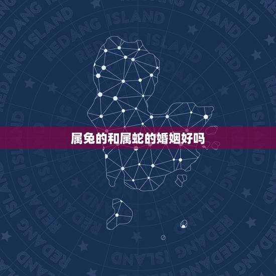 属兔的和属蛇的婚姻好吗，属兔嫁给属蛇的好吗