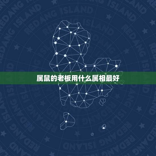 属鼠的老板用什么属相最好，属鼠人和什么属相合作最好