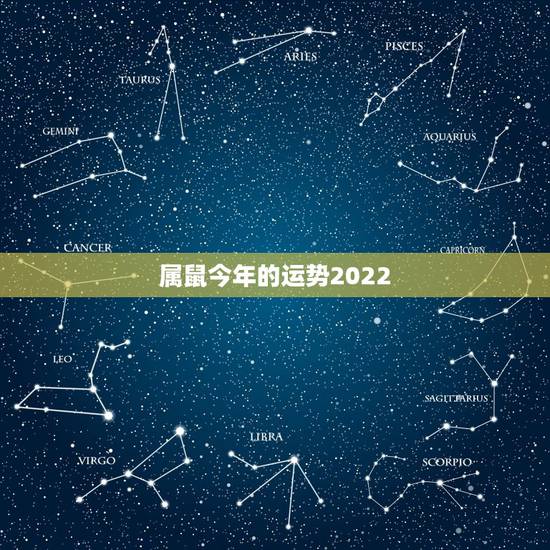 属鼠今年的运势2022,1984年属鼠2021年运势及运程 属鼠今年的运势2022,1984年属鼠2021年运势及运程