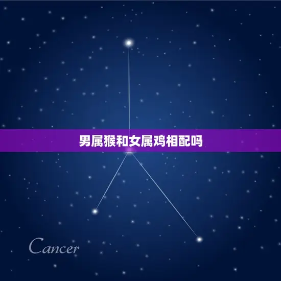 男属猴和女属鸡相配吗 男属猴和女属鸡相配吗