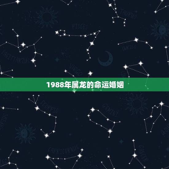 1988年属龙的命运婚姻,属龙人出生1988年婚姻命运怎样 1988年属龙的命运婚姻,属龙人出生1988年婚姻命运怎样