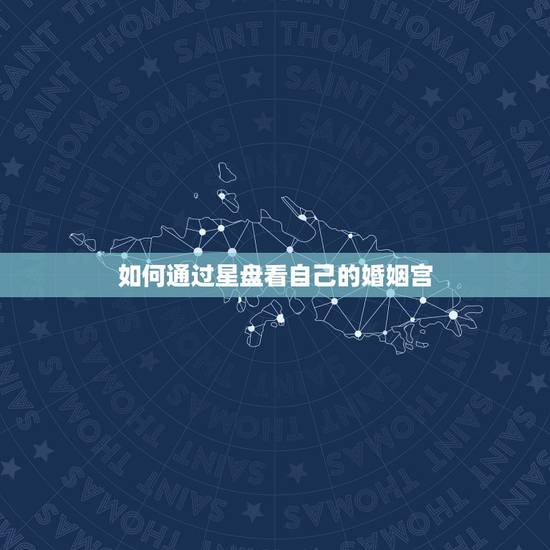 如何通过星盘看自己的婚姻宫,请从星盘,看事业及婚姻,谢谢! 如何通过星盘看自己的婚姻宫,请从星盘,看事业及婚姻,谢谢!