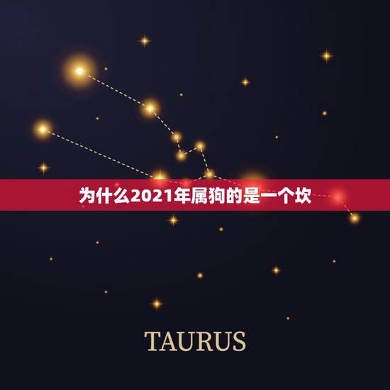 为什么2021年属狗的是一个坎，属狗2021年运势及运程每月运程