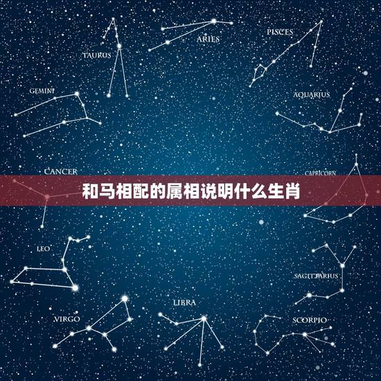 和马相配的属相说明什么生肖，属马的和什么属相相配
