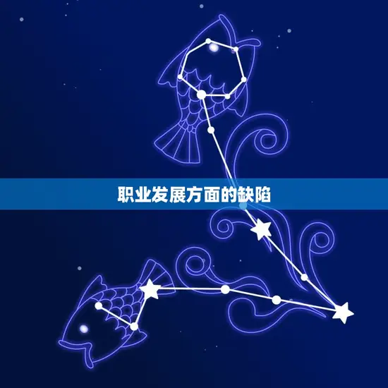 职业发展方面的缺陷 职业发展方面的缺陷