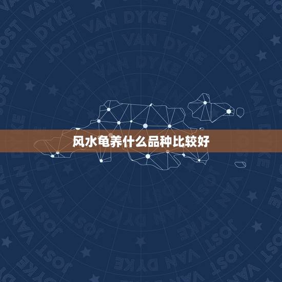 风水龟养什么品种比较好，家庭养龟养哪些品种好，还有和风水有没有关系。谢