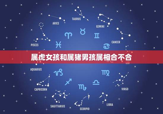 属虎女孩和属猪男孩属相合不合，属猪男与属虎，女五行婚配合适吗还是属相婚