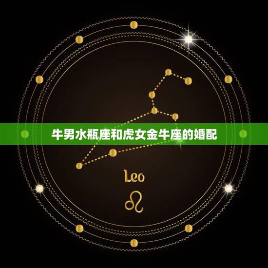 牛男水瓶座和虎女金牛座的婚配，牛男85，3.17（阴历）金牛座和虎女