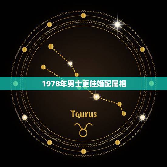 1978年男士更佳婚配属相，十二生肖婚姻配对表