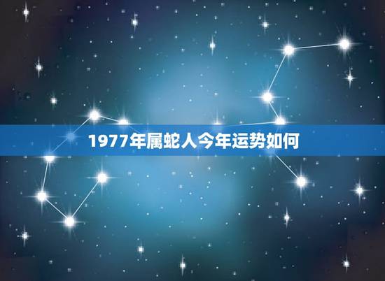 1977年属蛇人今年运势如何，属蛇1977年四十以后命