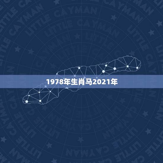 1978年生肖马2021年,78年属马女2021年财运 1978年生肖马2021年,78年属马女2021年财运