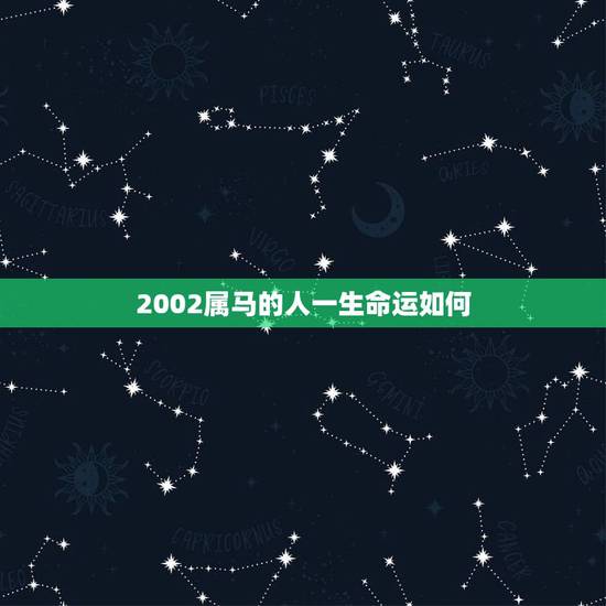 2002属马的人一生命运如何,2002年出生属马五行属什么命 2002属马的人一生命运如何,2002年出生属马五行属什么命