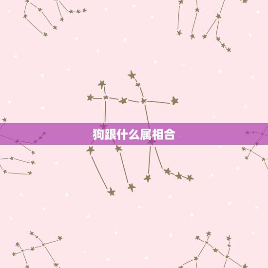 狗跟什么属相合 狗和蛇的属相合不合