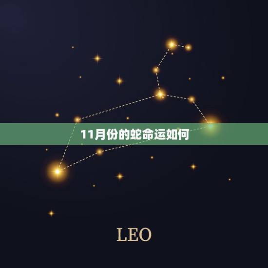 11月份的蛇命运如何,农历十一月属蛇的女人 11月份的蛇命运如何,农历十一月属蛇的女人
