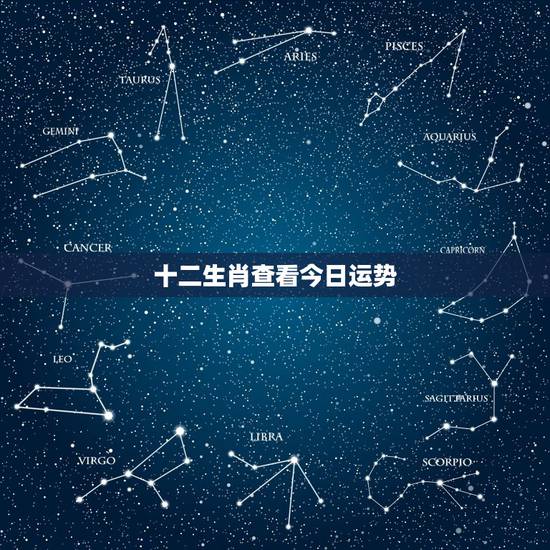 十二生肖查看今日运势，看属相说你一年的运气能相信吗