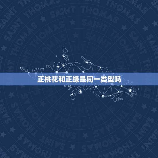 正桃花和正缘是同一类型吗，正缘桃花4朵代表什么