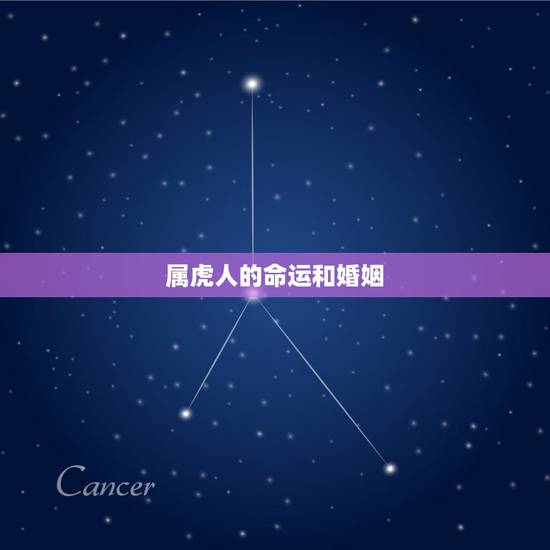 属虎人的命运和婚姻，属虎女人的婚姻与命运