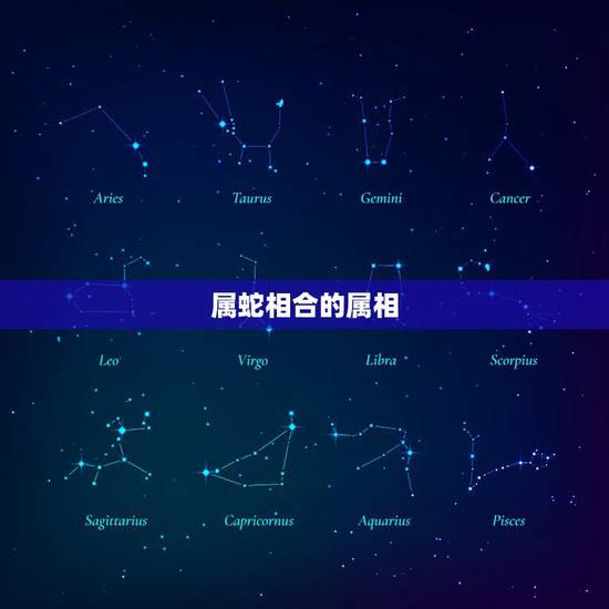 属蛇相合的属相，属蛇男更佳婚配属相