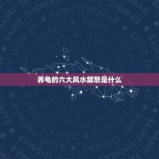 养龟的六大风水禁忌是什么,养龟风水与属相禁忌有哪些 养龟的六大风水禁忌是什么,养龟风水与属相禁忌有哪些