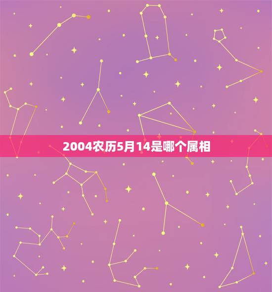 2004农历5月14是哪个属相，生日公历是2004年5月14日，那农历