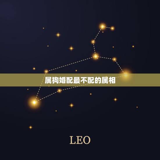 属狗婚配最不配的属相，属狗的婚配