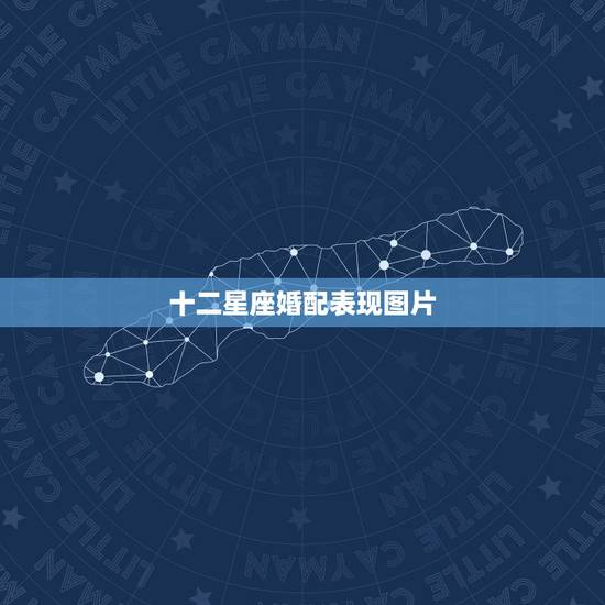 十二星座婚配表现图片,12星座最佳配对(+男女) 十二星座婚配表现图片,12星座最佳配对(+男女)