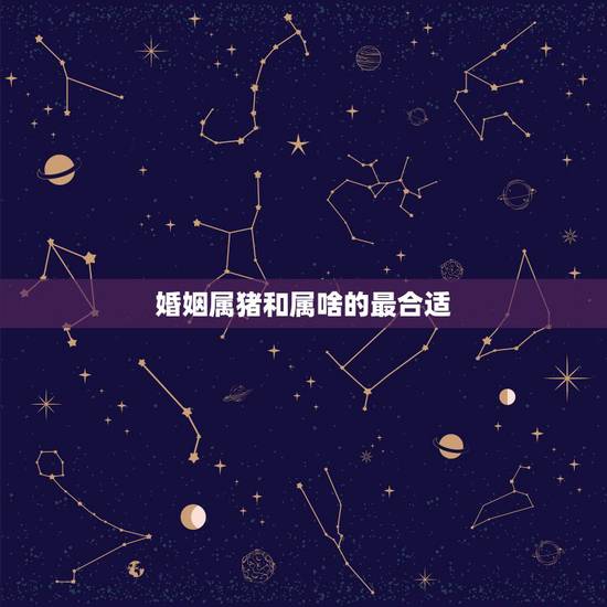 婚姻属猪和属啥的最合适,生肖猪的命运及财运 婚姻属猪和属啥的最合适,生肖猪的命运及财运