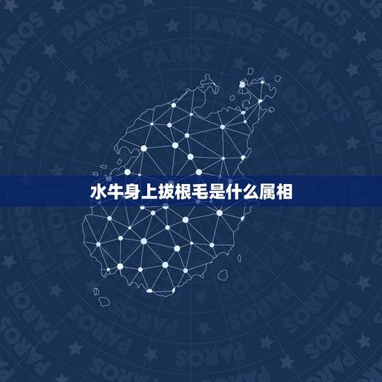 水牛身上拔根毛是什么属相，牛身上拔毛 无伤大体说的是那个生肖