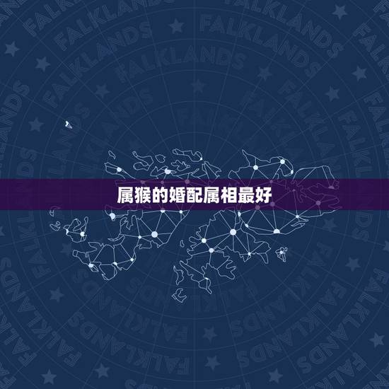 属猴的婚配属相最好，属猴的和什么属相最配