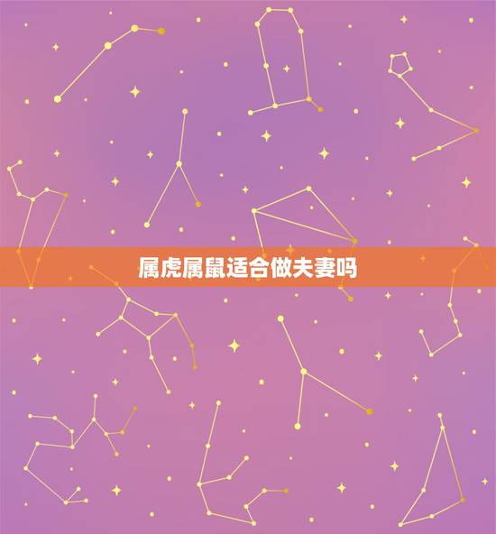 属虎属鼠适合做夫妻吗,属鼠的和属虎的能做一对夫妻吗 属虎属鼠适合做夫妻吗,属鼠的和属虎的能做一对夫妻吗