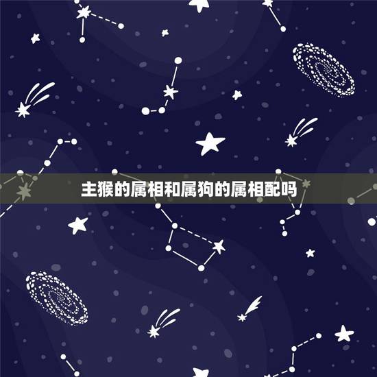 主猴的属相和属狗的属相配吗，82年属狗的与80年属猴属相相合不？