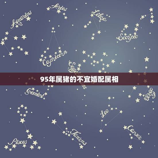 95年属猪的不宜婚配属相，95年属猪的和什么属相最配