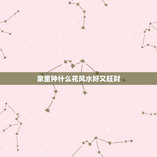 家里种什么花风水好又旺财，植物风水八个旺财增运方法：家里摆什么植物旺财