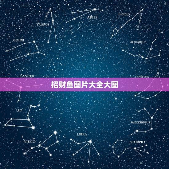 招财鱼图片大全大图,最好的招财鱼有几种,有图片吗 招财鱼图片大全大图,最好的招财鱼有几种,有图片吗