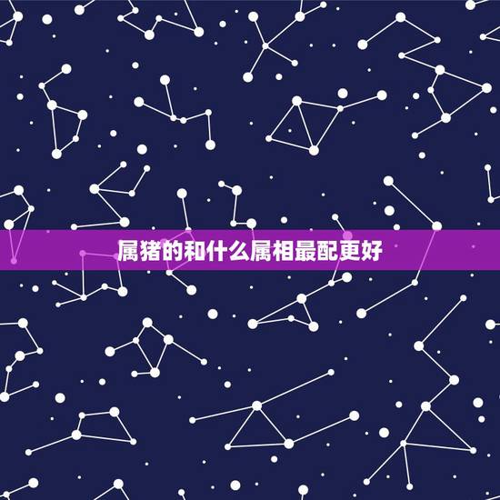 属猪的和什么属相最配更好,1993年属鸡的更佳配偶 属猪的和什么属相最配更好,1993年属鸡的更佳配偶