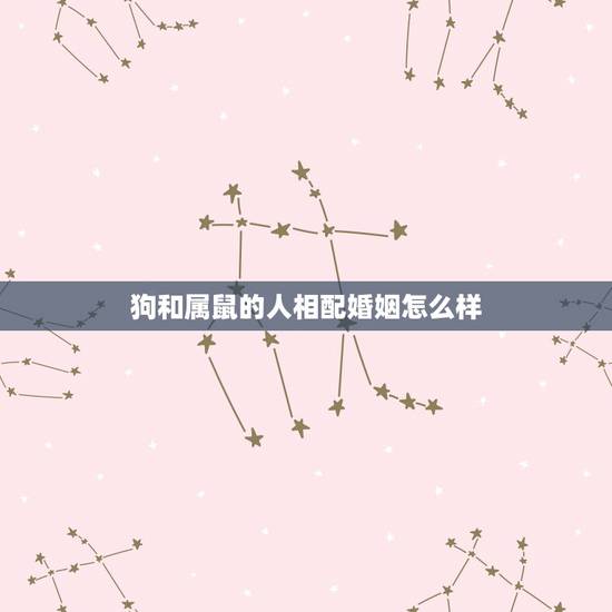 狗和属鼠的人相配婚姻怎么样，十二生肖属猪出生时辰与命运，属猪什么时辰出