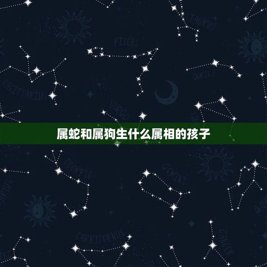 属蛇和属狗生什么属相的孩子,男属蛇,女属狗,生什么属相的宝宝好 属蛇和属狗生什么属相的孩子,男属蛇,女属狗,生什么属相的宝宝好