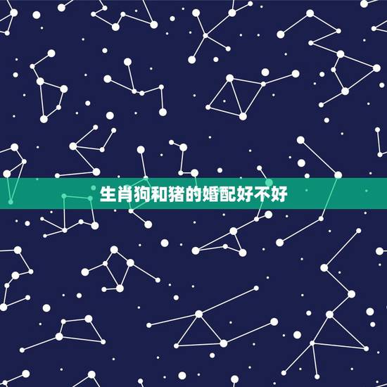生肖狗和猪的婚配好不好,属猪和属狗的能相配吗? 生肖狗和猪的婚配好不好,属猪和属狗的能相配吗?