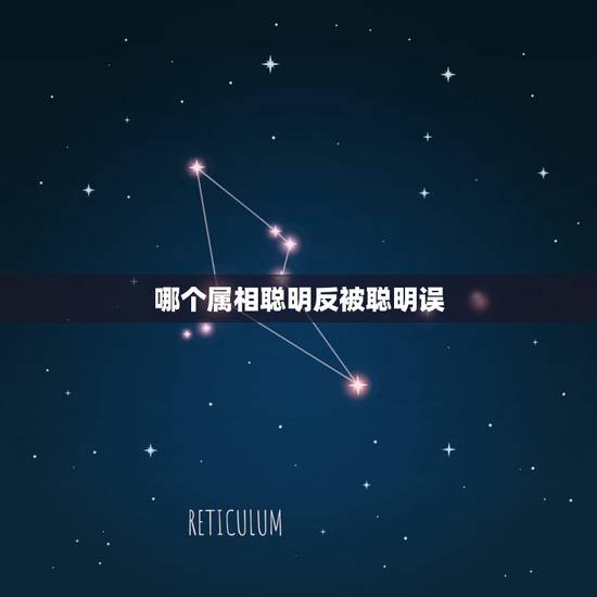 哪个属相聪明反被聪明误，聪明反被聪明误/猜一生肖