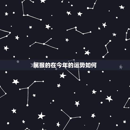 属猴的在今年的运势如何，属猴的今年运气怎么样