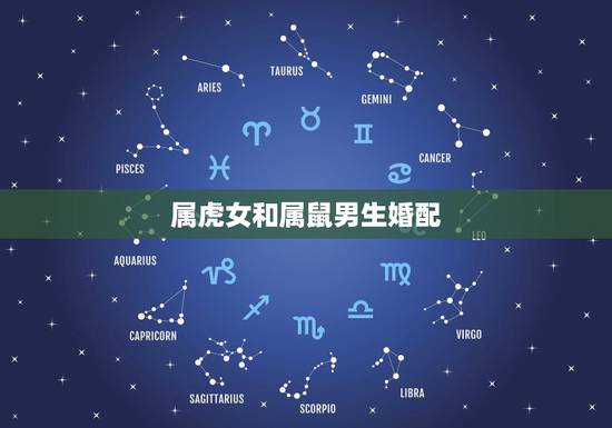 属虎女和属鼠男生婚配，男属鼠，女属虎能在一起生活吗？