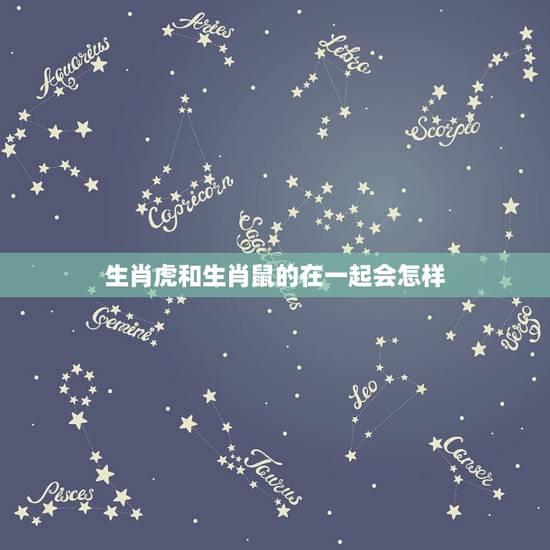 生肖虎和生肖鼠的在一起会怎样，属虎和属鼠的在一起好吗？