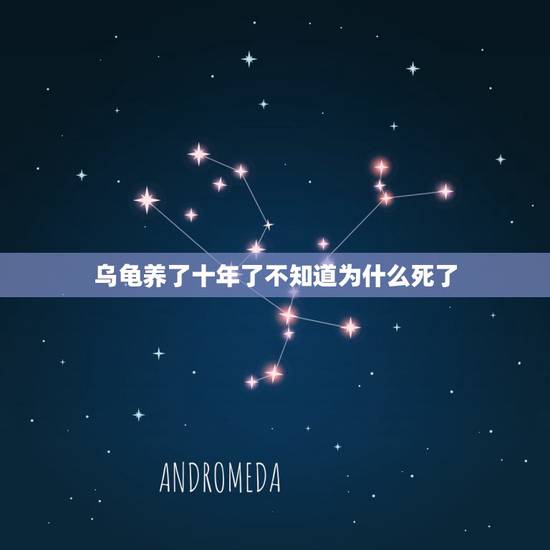 乌龟养了十年了不知道为什么死了，我们家养了十年的乌龟死了，伤心